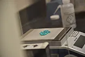 Seized Drugs